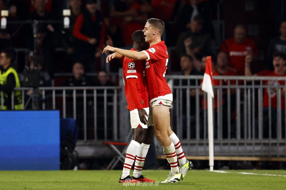 场表现和强 场表现和强